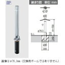 三協アルミ ビポールBP T-60TN φ60mm 取り外し式 チェーン通過タイプ