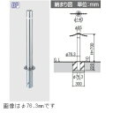三協アルミ ビポールBP T-48KN φ48mm 固定式 チェーン通過タイプ
