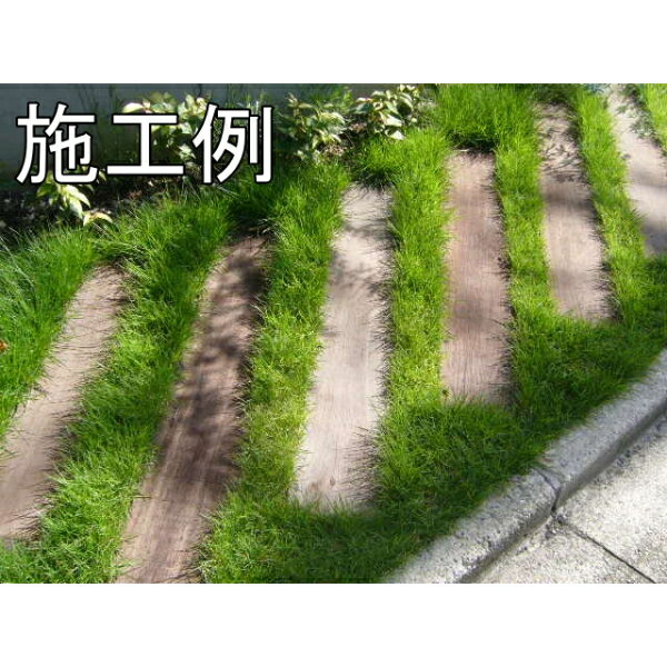 ����󥬥�Х��� ���� ��պ�/̵������ 5�ܥ��å� 100mm��200mm��2000mm SM-1002002000-05