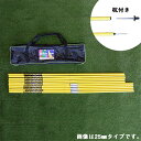 フットボールギア トレーニングポール training pole 25mm(杭付き) 10本セット TK-ZAG-02 『サッカー 練習』