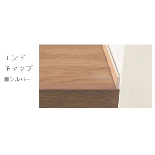 個人宅配送不可 森田アルミ工業 後付アルミ巾木フィットベース fitbase エンドキャップ右 (1個入り) FT20ER-S シルバー 個人宅配送不可 森田アルミ工業 後付アルミ巾木フィットベース fitbase エンドキャップ右 (1個入り) FT20ER-S シルバー