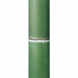 『人工植栽』　タカショー グリーンデコ和風　アル銘竹 孟宗若竹（装飾用）　径90・4m　#62989300