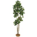 『人工植栽』 タカショー グリーンデコ和風 カクレミノ 鉢無 1.8m GD-67 #21512600