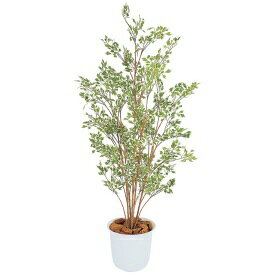 Benjamin - 『人工植栽』　タカショー グリーンデコ和風　ベンジャミン　ハワイアン鉢付　1.5m　GD-120W