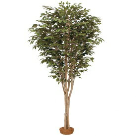 Benjamin - 『人工植栽』　タカショー 大型人工樹　ベンジャミン 鉢無　2.2m　GD-163