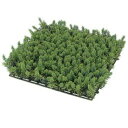 『人工植栽』 タカショー 人工苔 スギゴケセット 27×27cm GN-21