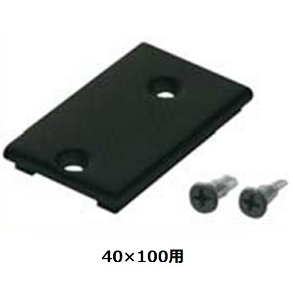 タカショー エバーアートウッド ストリンガー部材 溝付格子材用アルミキャップ 40×100用 ビス2本付 『..