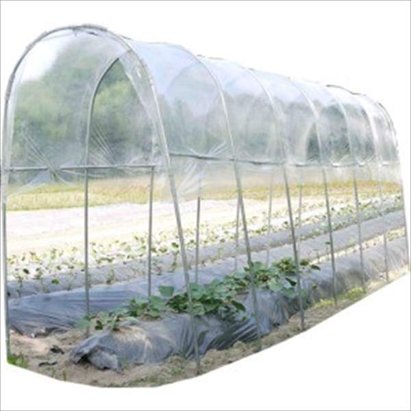 南榮工業 雨よけハウス 埋め込み式 AM1235 『ビニールハウス 南栄工業』