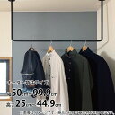【受注生産品】カツデン Hosuba(ホスバ) フリーサイズ Mサイズ 角パイプ 16角 幅 500 ~ 999 × 高さ 250 ~ 449 『 カツデンアーキテック 物干し 竿 室内 固定 スチール アイアン バー 』