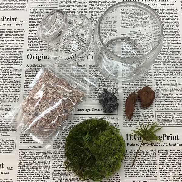 エクステリアのキロ楽天市場支店のそらーる 苔プリ (枯れない苔) ポットキット｜アングル2