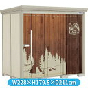 タクボ物置 アルテグラフィカ ペインタ P-Z2215 背面棚 『 物置 屋外 大型 倉庫 小屋 収納 収納庫 物置き diy キット 大容量 吊り戸 鍵つき ...