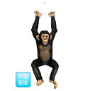 FRP Ԃ炳`pW[ / Hanging Chimpanzee fr120040 wIuWF Aj}IuWF X܁ECxgx