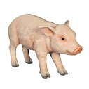 FRP　立ち上がる子豚 / Standing Piglet　 fr120075 『動物園オブジェ　アニマルオブジェ　店舗・イベント向け』