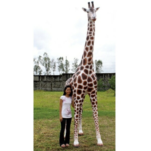 FRP ƥ/Giraffe 12Ft. Fr090070 ưʪ४֥ ˥ޥ륪֥ Źޡ٥ȸ