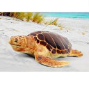 FRP 産卵場所を探すアカウミガメ / Loggerhead Turtle fr090048 『亀オブジェ アニマルオブジェ 店舗・イベント向け』