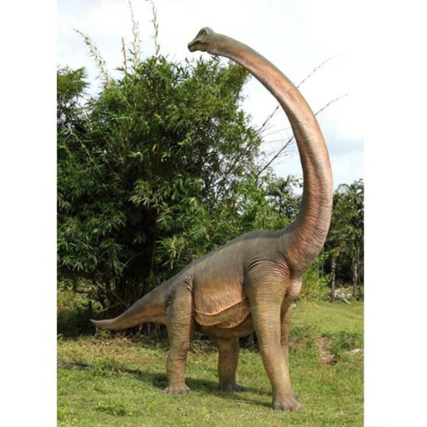 FRP　振り向くブラキオサウルス / Brachiosaurus with Twisted Neck　『恐竜オブジェ　博物館オブジェ　店舗・イベント向け』