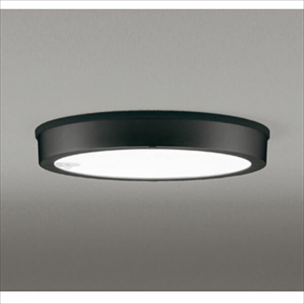 �����ǥ�å� �����ѥ�����󥰥�����饤�� FLAT PLATE FLC30w���饹 �ʹ������� ON-OFF�� �֥�å� # OG 254 815 ����