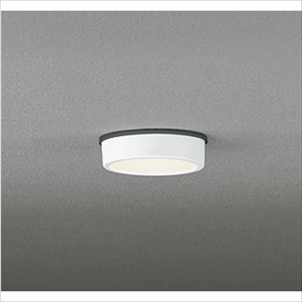 �����ǥ�å� �����ѥ�����󥰥�����饤�� FLAT PLATE ��Ǯ��60w���饹 ��Ĵ�������� ���եۥ磻�� # OG 254 528 �ŵ忧