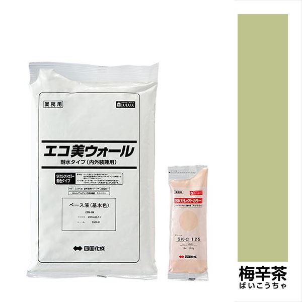 【法人様限定商品 個人宅・現場配送不可】四国化成 エコ美ウォール 外装用 耐水タイプ ローラーで簡単..