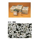 【法人様限定商品 個人宅・現場配送不可】四国化成 リンクストーンF 20m2セット品 LS200-UF762 20m2セット品 『外構DIY部品』 ダークグレイ