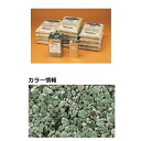 【法人様限定商品 個人宅・現場配送不可】四国化成 リンクストーンF 20m2セット品 LS200-UF767 20m2セット品 『外構DIY部品』 ニュー若竹