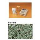 【法人様限定商品 個人宅・現場配送不可】四国化成 リンクストーンM 3m2(平米)セット品 LS30-UM667 『外構DIY部品』 ニュー若竹