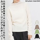 カット シャーリング プルオーバー トップス インナー レディース 大人 春 夏 カットソー Tシャツ 重ね着 レイヤード シアー 長袖 メロー ブラウス 大きいサイズ ゆったり 無地 ロンT 薄手 おしゃれ かわいい クルーネック 体型カバー 春夏 白 黒 30代 40代 50代
