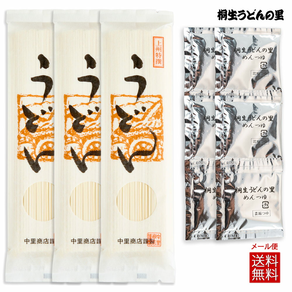 上州特撰うどん 200g×3袋 濃縮つゆ6人前 送料無料 1000円ポッキリ 【ポスト投函配送】のサムネイル