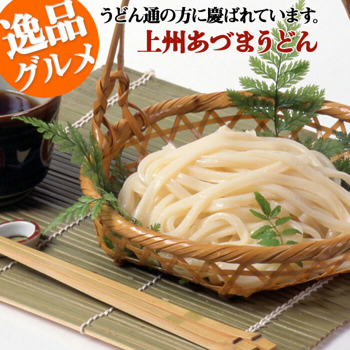 上州あづまうどん 半生うどん 300g×10袋入（20人前） 太麺でモチモチ感とコシが特徴 プレゼント ギフト 【送料無料】