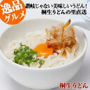 うどん 桐生うどん 半生麺 270g 3袋 送料無料 めんつゆ付お手軽セット KT-3 沖縄・離島は別途送料が掛かります