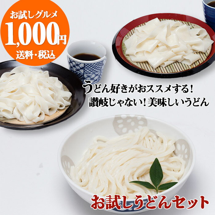 ひもかわうどん 帯麺・並麺 波打ちうどん 桐生うどん 送料無料 お試し うどんセット【ポスト投函配送】