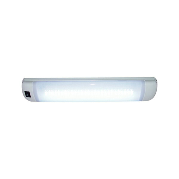 LED [eBeB Cg zCg 365317 LEDCg