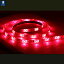 光で魅せる存在感! LEDテープライト 防水 12V レッド 赤 305mm LED-51948-DP カスタム 外装 ビッグス..
