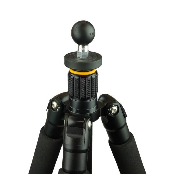 ��¨Ǽ�� ���ޥ���� ľ�ܻ��� RAM-B-337U 1������ܡ��� �١��� �᥹¦ 1/4-20 ������ͥ� RAM MOUNTS ��������Ź