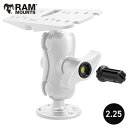 【即納】 ラムマウント 直接仕入 RAP-S-NUT5U 2.25インチアーム用 魚探ロック RAMマウント 盗難防止 鍵 魚探 防犯対策 ピンロック セキュリティ 706394 RAM MOUNTS 取扱店 販売店 防犯グッズ 盗難対策
