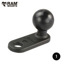 選べるマウントシリーズ！ RAM MOUNTS ラムマウント バイク ミラーステー ミラーマウント ネジ止め 径11mm RAMマウント 1 インチボール 881232 RAM-B-252U 取扱店 販売店 GoPro カメラステー ツーリング 部品 パーツ 鏡 バイク用品