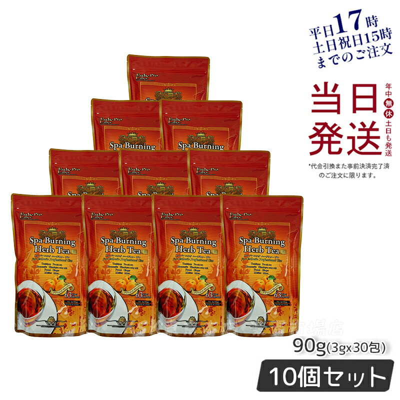 【10個セット】エステプロラボ スパ バーニング ハーブティー プロ 3g×30包 代謝系茶 賞味期限2026年1月