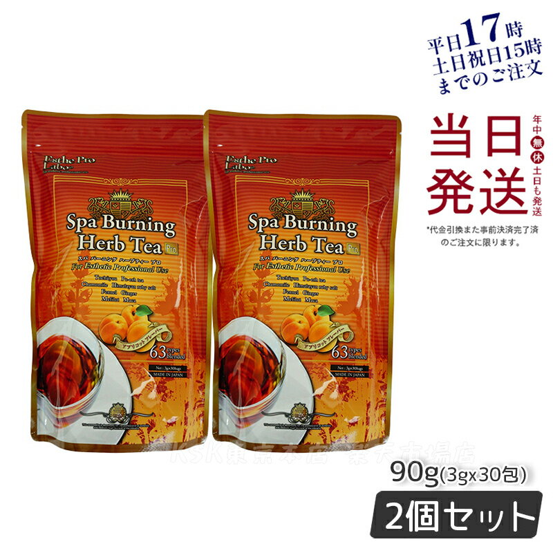 【2個セット】エステプロラボ スパ バーニング ハーブティー プロ 3g×30包 代謝系茶 送料無料 賞味期限2026年1月