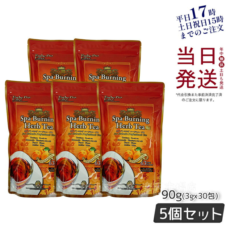 ◎ゴールデンキャンドルデトックティー 12箱[ダイエットティー ハーブティー ダイエット飲料 ダイエットドリンク お茶 美容 健康 ラズベリー 風味 おいしい 健康茶 美容茶 日本製 国産 カフェインレス ブレンド茶 ブレンドティー 紅茶 ローズピップ ルイボス]