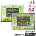 【2箱セット】エステプロラボ プロテイン プロテイン 女性 美容 ダイエット 置き換え ナチュラ グランプロ(抹茶)20袋 / W抹茶 選べる 100%植物性プ...