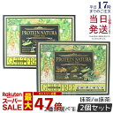 【2箱セット】エステプロラボ プロテイン プロテイン 女性 美容 ダイエット 置き換え ナチュラ グランプロ(抹茶)20袋 / W抹茶 選べる 100%植物性プロテイン 無添加 タンパク質 美味しい 飲みやすい 賞味期限2026年12月