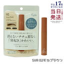 【国内正規品】 Fujiko フジコ 眉ティント SVR 6g 02 モカブラウン アイブロウ アイブロー 眉マスカラ 眉ティント 眉毛ティント セルフタンニン...