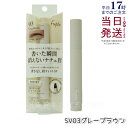 Fujiko フジコ 書き足し 眉ティント SV 2g 03 グレーブラウン 手軽に書けるペンタイプ セルフタンニング 落ちない 消えにくい ウォータープルーフ...