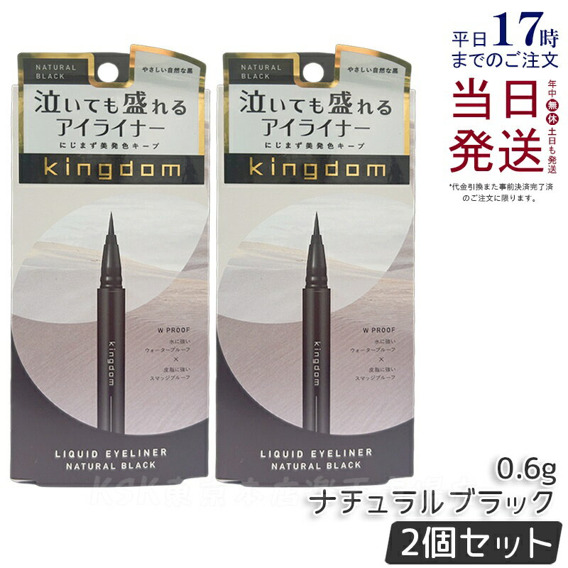 【2個セット】キングダム リキッドアイライナーR1 ナチュラルブラック 0.6g kingdom メイクアップ 透明感 ウォータープルーフ スマッジルーフ アイ...