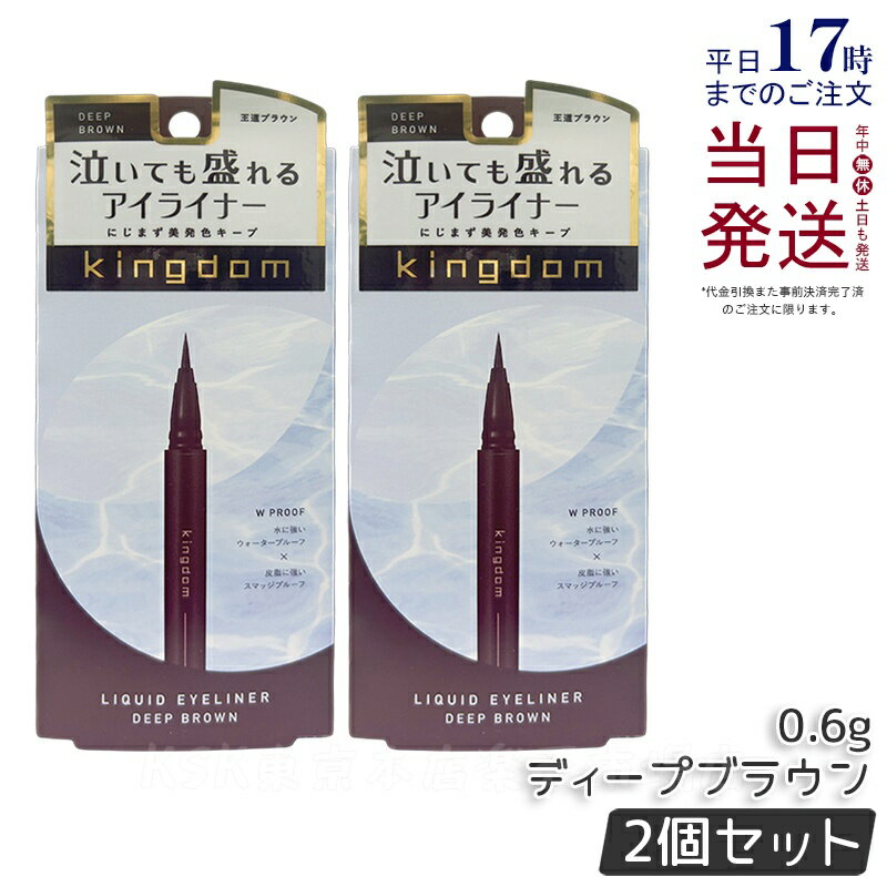 【2個セット】キングダム リキッドアイライナーR1 ディープブラウン 0.6g kingdom メイクアップ 透明感 ウォータープルーフ スマッジルーフ アイラ...