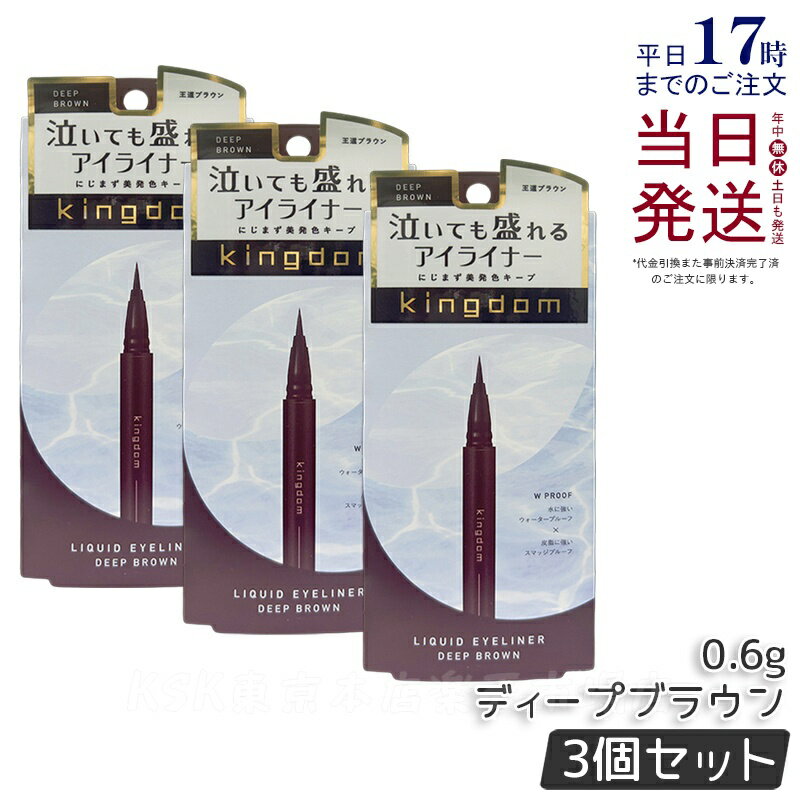 【3個セット】キングダム リキッドアイライナーR1 ディープブラウン 0.6g kingdom メイクアップ 透明感 ウォータープルーフ スマッジルーフ アイラ...