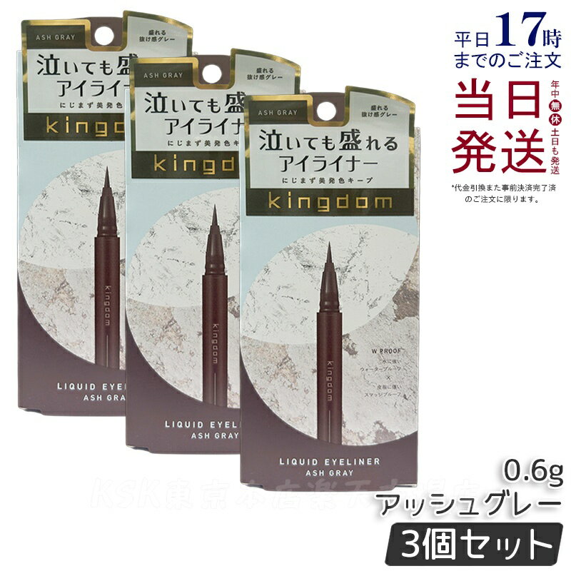 【3個セット】キングダム リキッドアイライナーR1 アッシュグレー 0.6g kingdom メイクアップ 透明感 ウォータープルーフ スマッジルーフ アイライ...