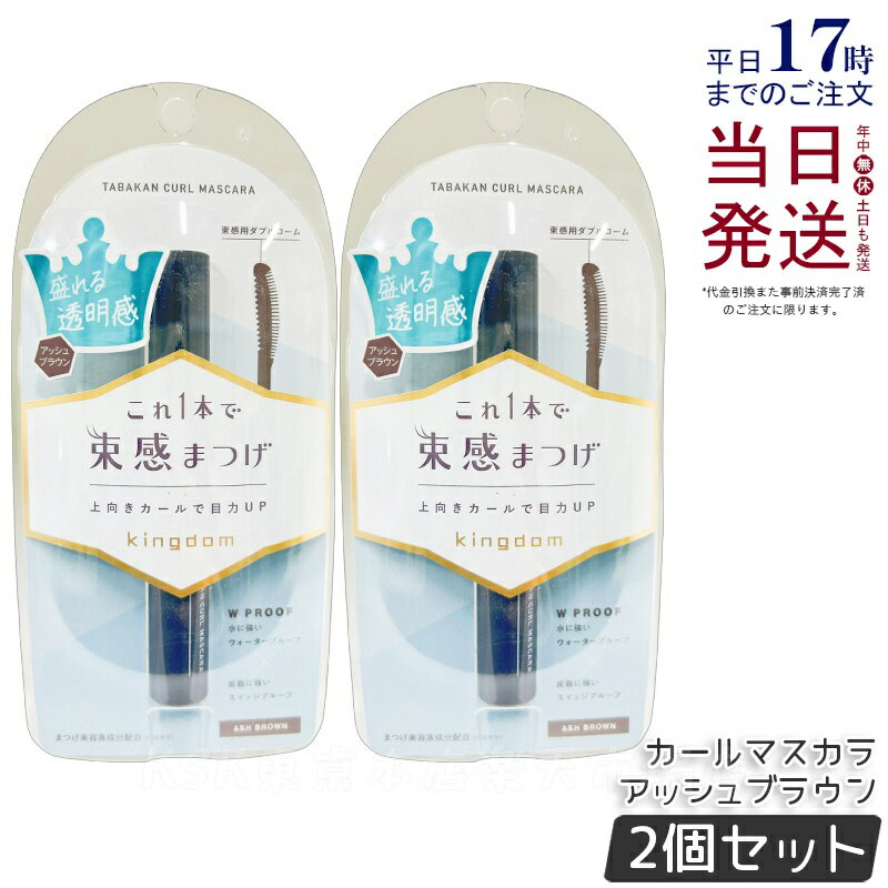 【2個セット】キングダム 束感カールマスカラ アッシュブラウン 6g 繊細なオーロラパール Kingdom 保湿 補修 美容液成分配合 長時間持続マスカラ 国内...