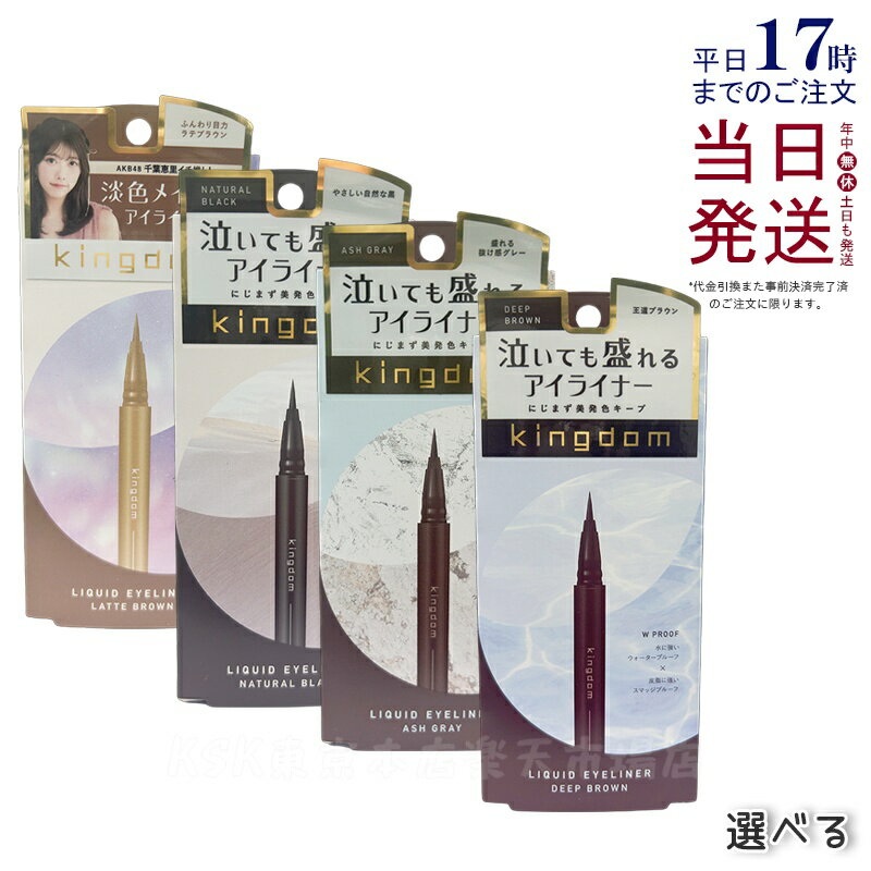 【選べる】キングダム リキッドアイライナーR1 ディープブラウン/ナチュラルブラック/アッシュグレー/ラテブラウン 0.6g kingdom メイクアップ 透明...