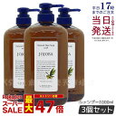 スーパーセール 福袋 人気 ランキング あす楽 乾燥しがちな髪をしなやかにふんわりした質感へ ルベル シャンプー 美容師さん愛用 サロン専売品